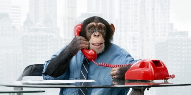 Definisci il tuo cliente ideale per avere successo nel tuo business